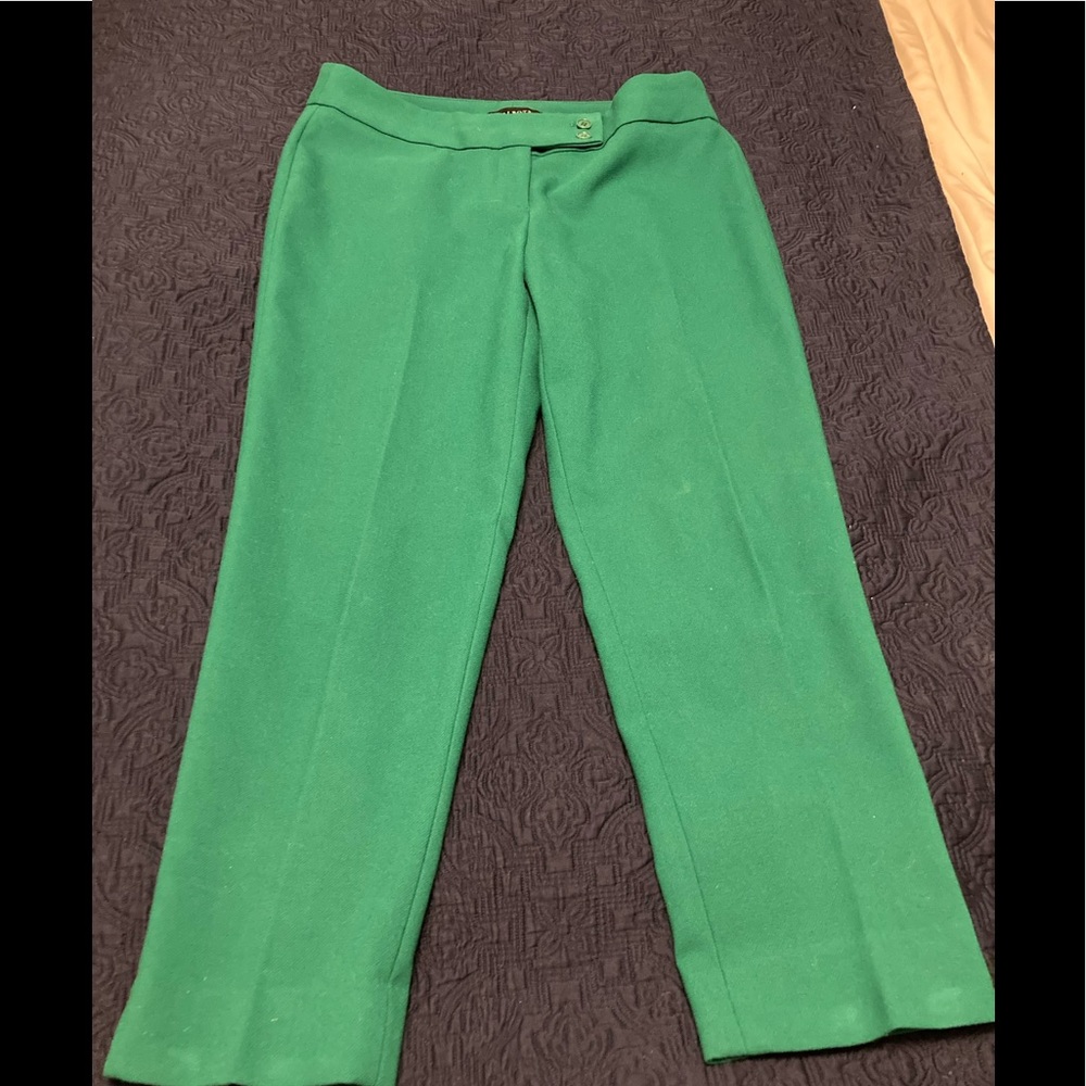 Fully Lined Winter White Pants. Will Include Gree… - image 5